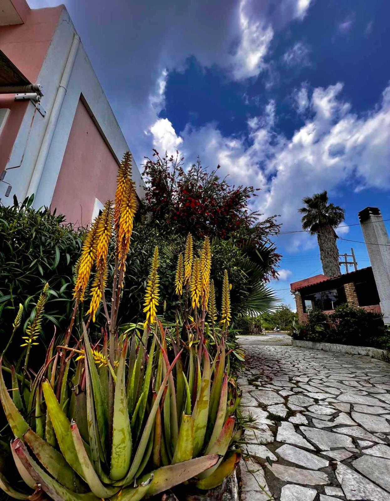 Angela Corfu Apartment Potamós Екстериор снимка