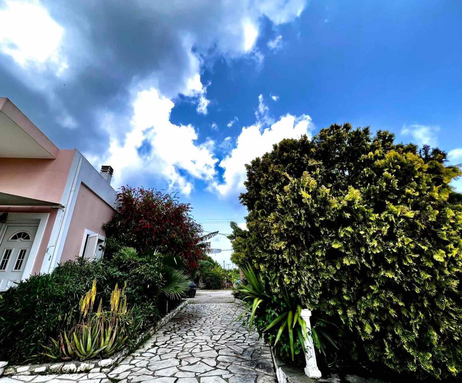 Angela Corfu Apartment Potamós Екстериор снимка